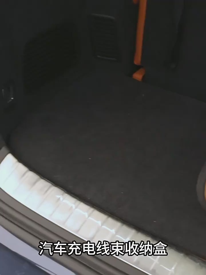 Bolso Premium para cargadores portatiles de autos electricos